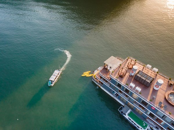 La préservation du patrimoine grâce aux musées